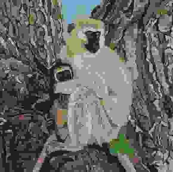 Vervet Mother and Child